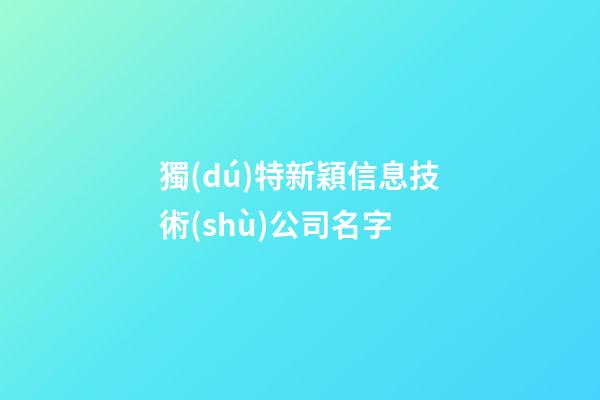 獨(dú)特新穎信息技術(shù)公司名字