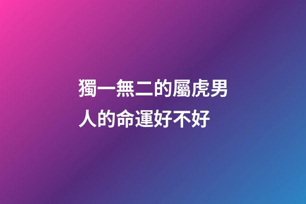 獨一無二的屬虎男人的命運好不好