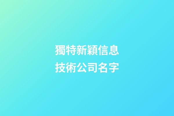獨特新穎信息技術公司名字