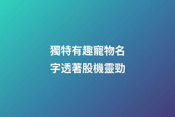 獨特有趣寵物名字透著股機靈勁
