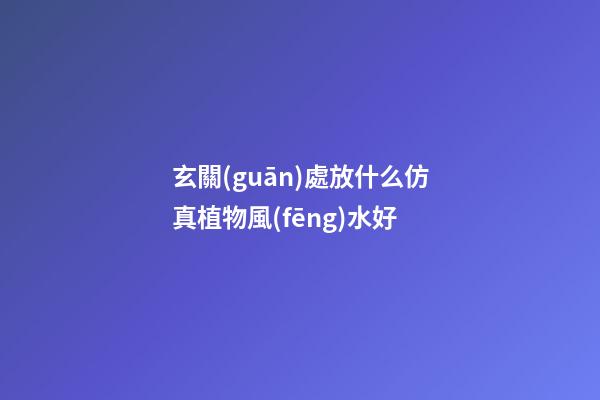 玄關(guān)處放什么仿真植物風(fēng)水好