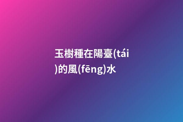 玉樹種在陽臺(tái)的風(fēng)水