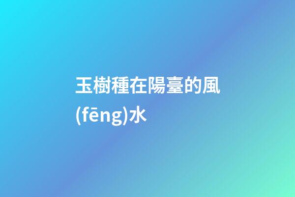 玉樹種在陽臺的風(fēng)水
