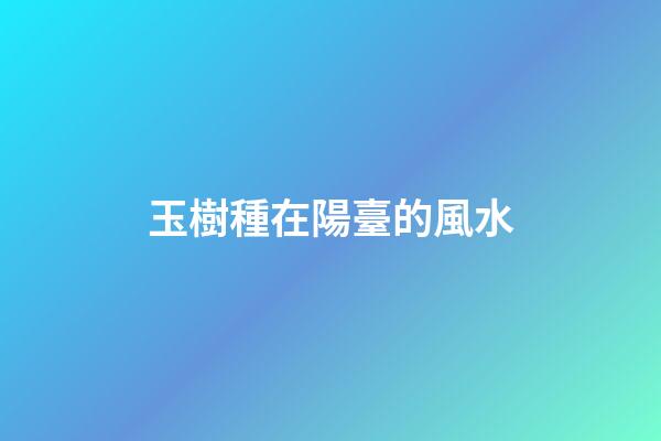 玉樹種在陽臺的風水