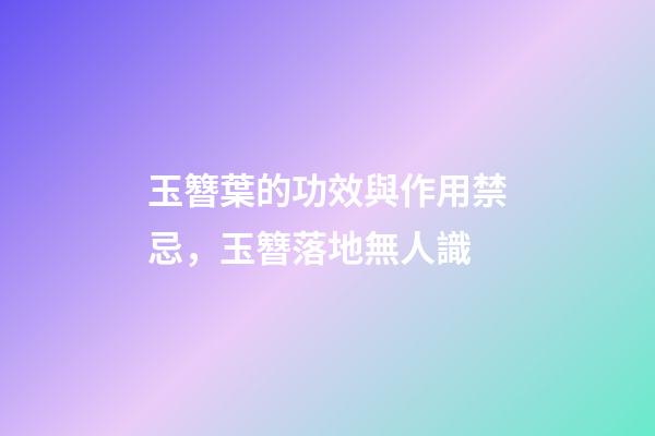 玉簪葉的功效與作用禁忌，玉簪落地無人識-第1張-觀點-玄機派
