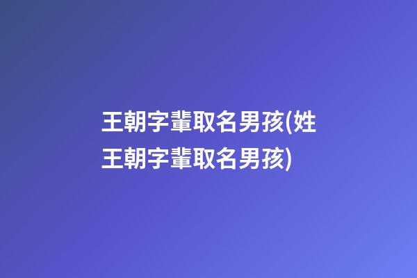 王朝字輩取名男孩(姓王朝字輩取名男孩)