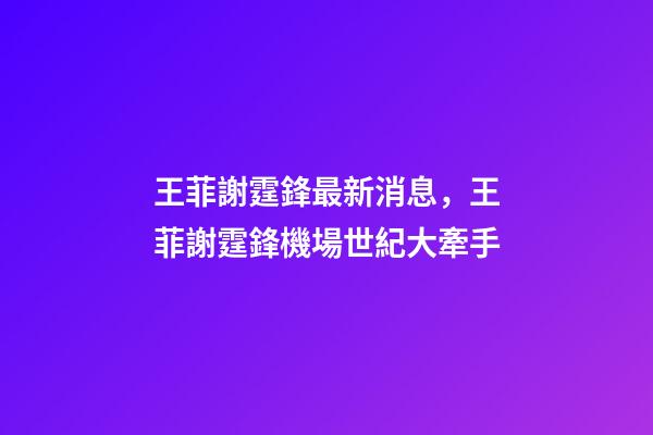 王菲謝霆鋒最新消息，王菲謝霆鋒機場世紀大牽手-第1張-觀點-玄機派