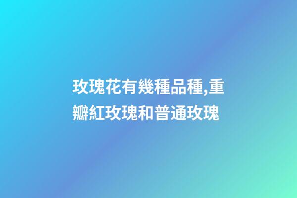 玫瑰花有幾種品種,重瓣紅玫瑰和普通玫瑰-第1張-觀點(diǎn)-玄機(jī)派