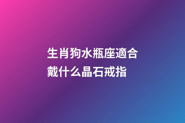 生肖狗水瓶座適合戴什么晶石戒指-第1張-星座運勢-玄機派