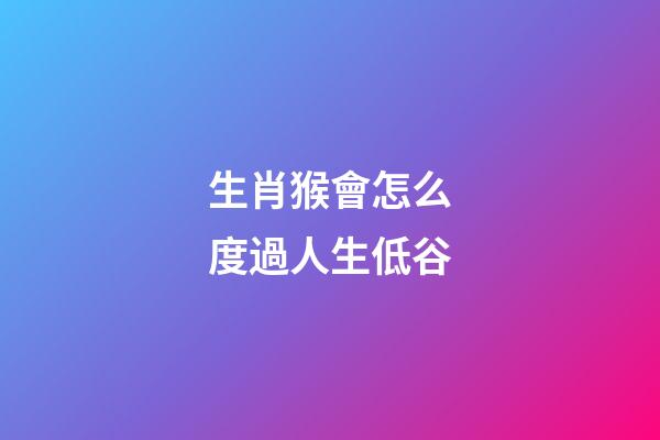 生肖猴會怎么度過人生低谷