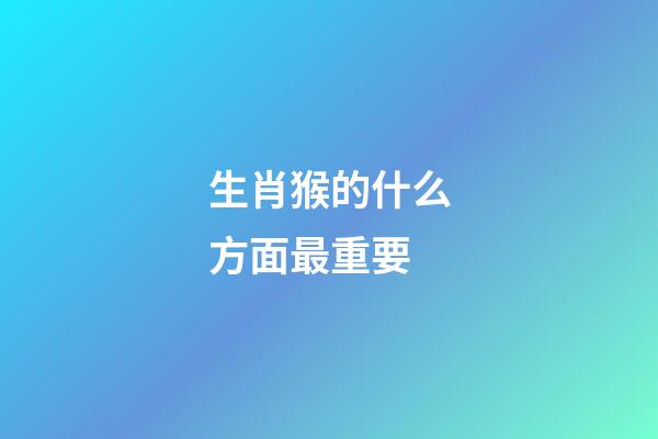 生肖猴的什么方面最重要