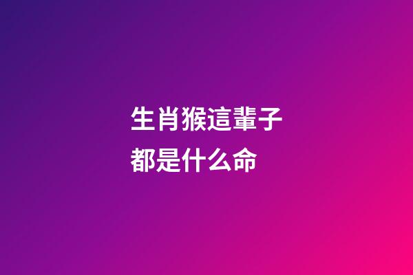 生肖猴這輩子都是什么命