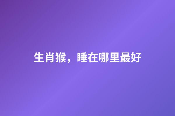 生肖猴，睡在哪里最好