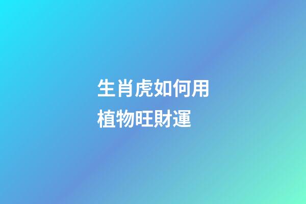 生肖虎如何用植物旺財運
