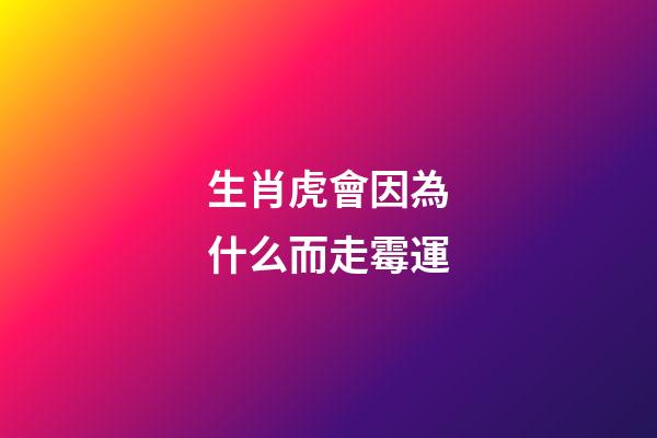 生肖虎會因為什么而走霉運