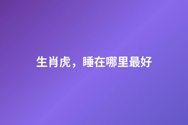 生肖虎，睡在哪里最好