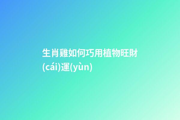 生肖雞如何巧用植物旺財(cái)運(yùn)