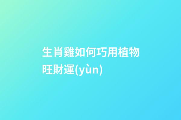 生肖雞如何巧用植物旺財運(yùn)