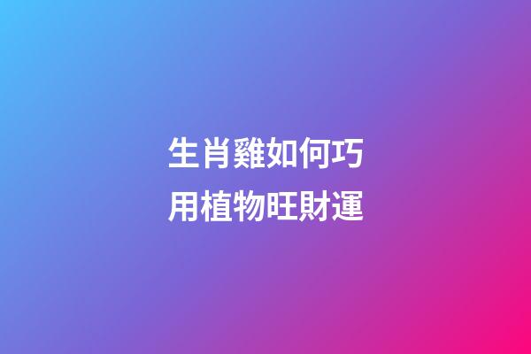 生肖雞如何巧用植物旺財運