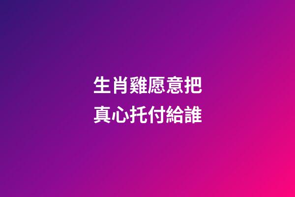 生肖雞愿意把真心托付給誰