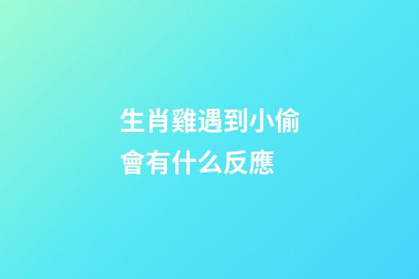生肖雞遇到小偷會有什么反應