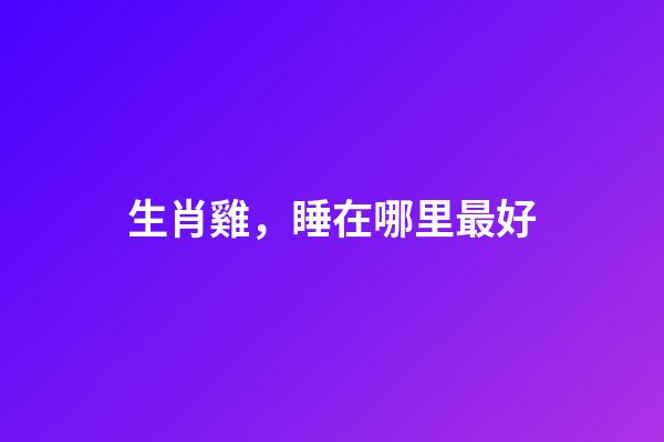 生肖雞，睡在哪里最好