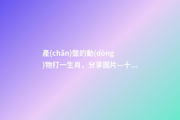 產(chǎn)盤的動(dòng)物打一生肖，分享圖片—十二生肖對應(yīng)花卉-第1張-觀點(diǎn)-玄機(jī)派