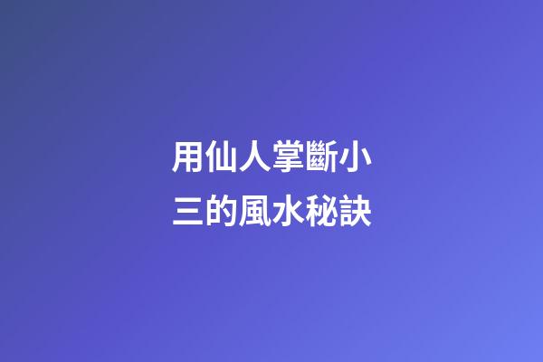 用仙人掌斷小三的風水秘訣