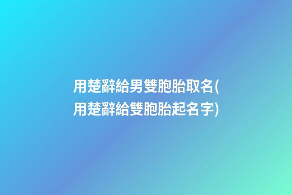 用楚辭給男雙胞胎取名(用楚辭給雙胞胎起名字)