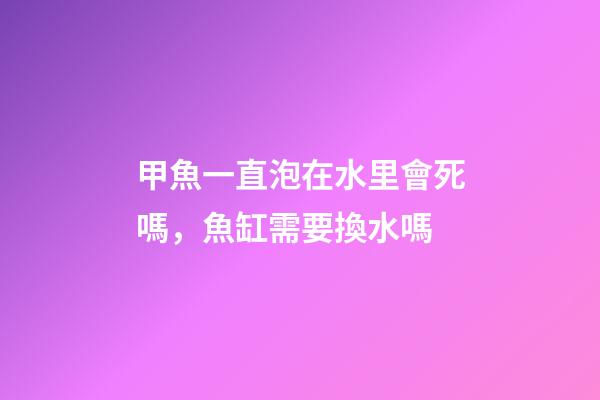 甲魚一直泡在水里會死嗎，魚缸需要換水嗎-第1張-觀點-玄機派