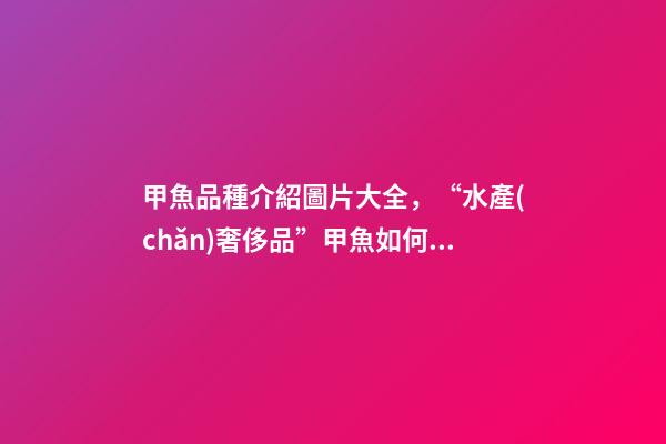 甲魚品種介紹圖片大全，“水產(chǎn)奢侈品”甲魚如何挑選-第1張-觀點(diǎn)-玄機(jī)派