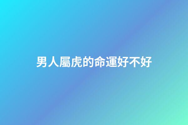 男人屬虎的命運好不好