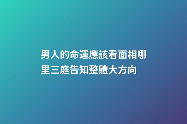 男人的命運應該看面相哪里?三庭告知整體大方向