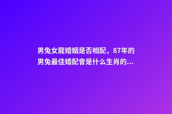 男兔女龍婚姻是否相配，87年的男兔最佳婚配會是什么生肖的女性-第1張-觀點-玄機派