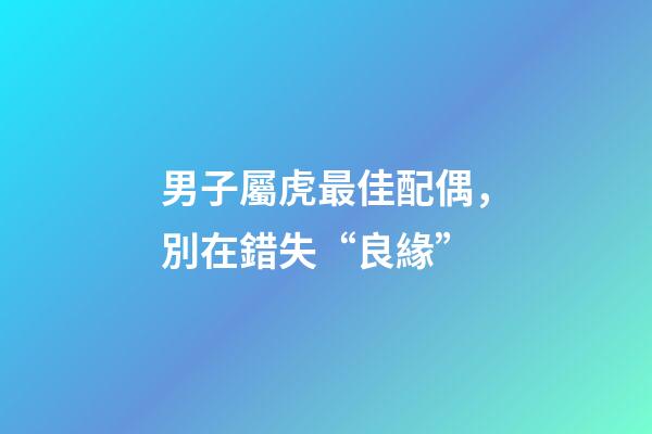 男子屬虎最佳配偶，別在錯失“良緣”-第1張-觀點-玄機派