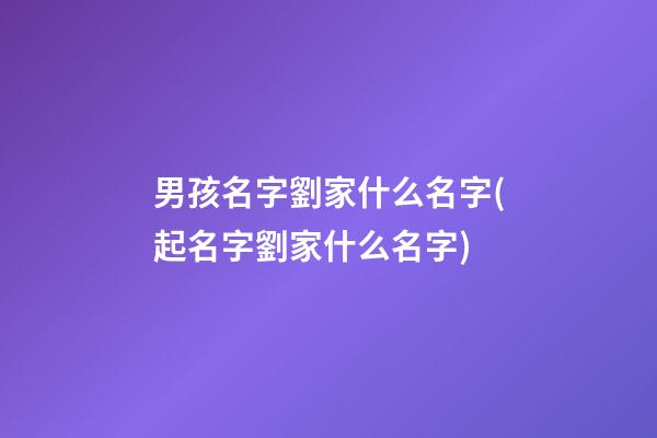男孩名字劉家什么名字(起名字劉家什么名字)