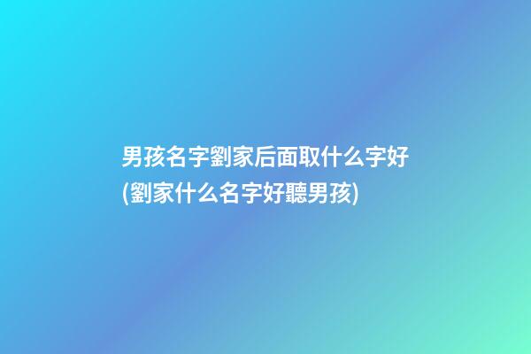 男孩名字劉家后面取什么字好(劉家什么名字好聽男孩)