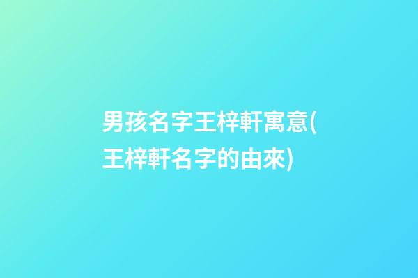 男孩名字王梓軒寓意(王梓軒名字的由來)