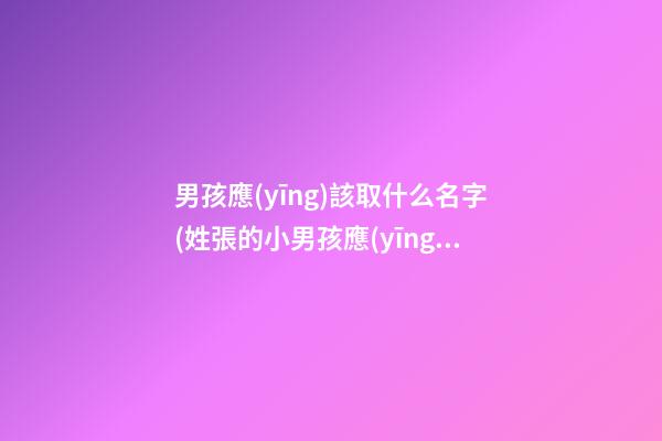 男孩應(yīng)該取什么名字(姓張的小男孩應(yīng)該取什么名字)