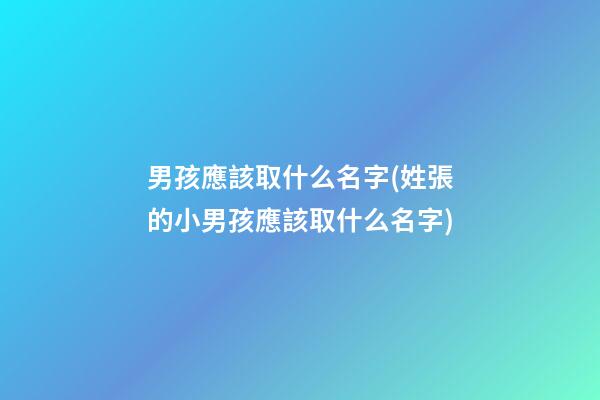 男孩應該取什么名字(姓張的小男孩應該取什么名字)