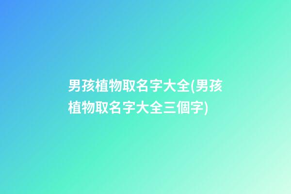 男孩植物取名字大全(男孩植物取名字大全三個字)