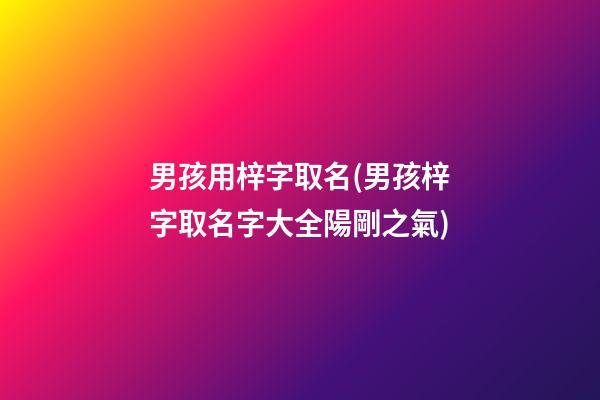 男孩用梓字取名(男孩梓字取名字大全陽剛之氣)