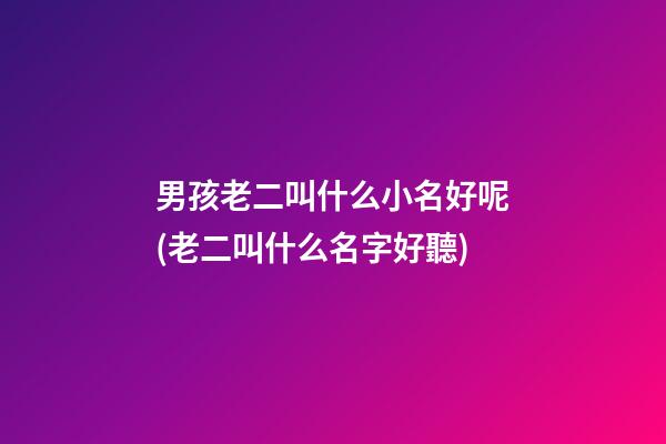 男孩老二叫什么小名好呢(老二叫什么名字好聽)