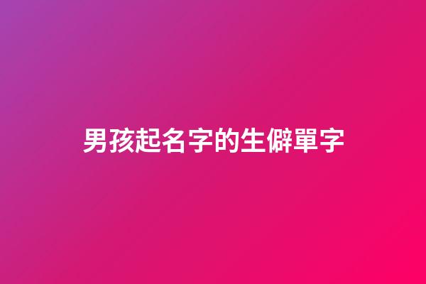 男孩起名字的生僻單字