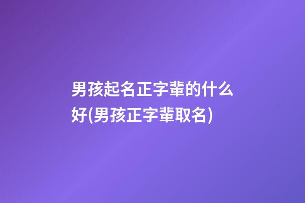男孩起名正字輩的什么好(男孩正字輩取名)
