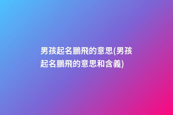 男孩起名鵬飛的意思(男孩起名鵬飛的意思和含義)