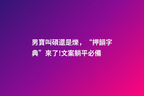 男寶叫碩還是爍，“押韻字典”來了!文案躺平必備-第1張-觀點-玄機派