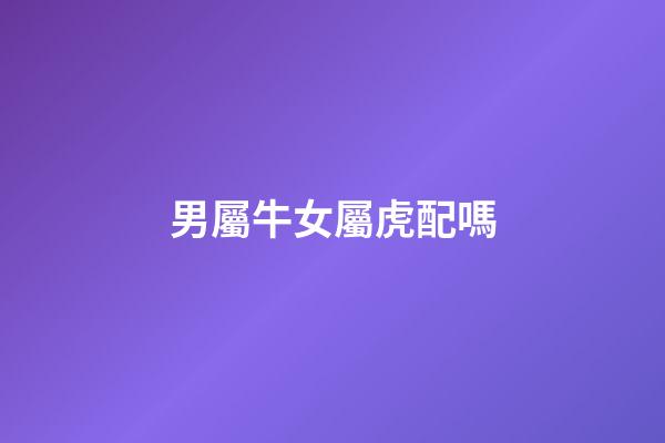 男屬牛女屬虎配嗎