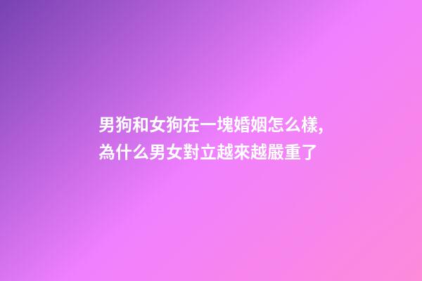 男狗和女狗在一塊婚姻怎么樣,為什么男女對立越來越嚴重了-第1張-觀點-玄機派
