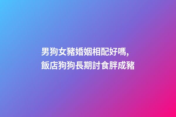男狗女豬婚姻相配好嗎,飯店狗狗長期討食胖成豬-第1張-觀點-玄機派